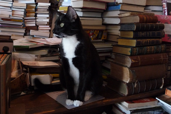 Abraxas Books